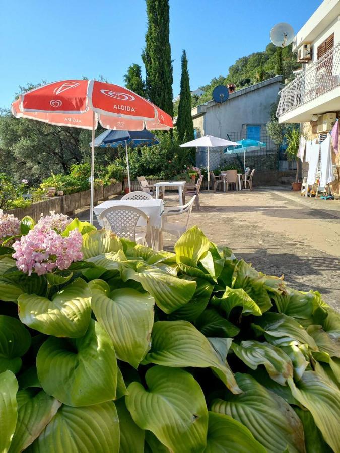 Apartments Andjus Sveti Stefan Eksteriør bilde